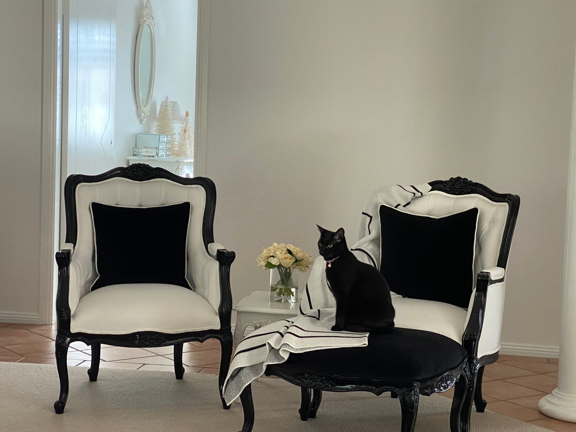 Luxury Pet